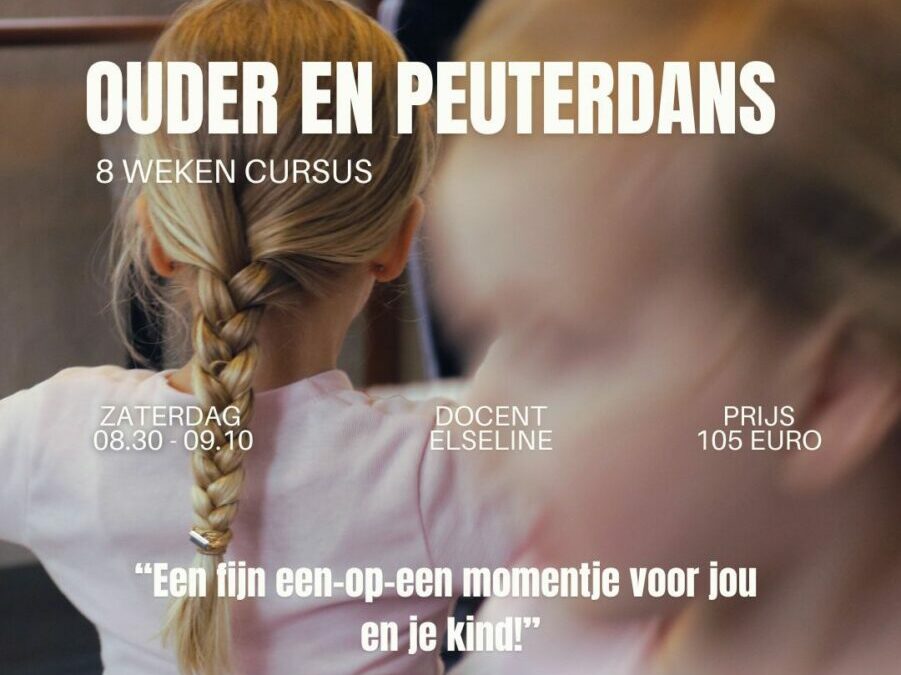 Ouder en peuterdans